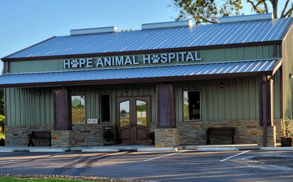 Hope Animal Hospital in Angleton, Texas along State Highway 288