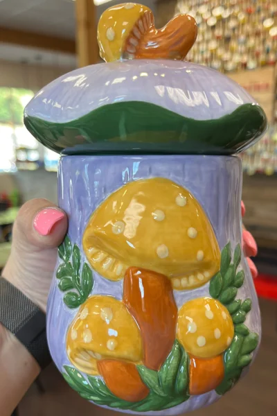 Venvino Art Studios Mushroom Pottery Project Painted mushroom-themed ceramic container shown in Venvino Art Studios project imagery