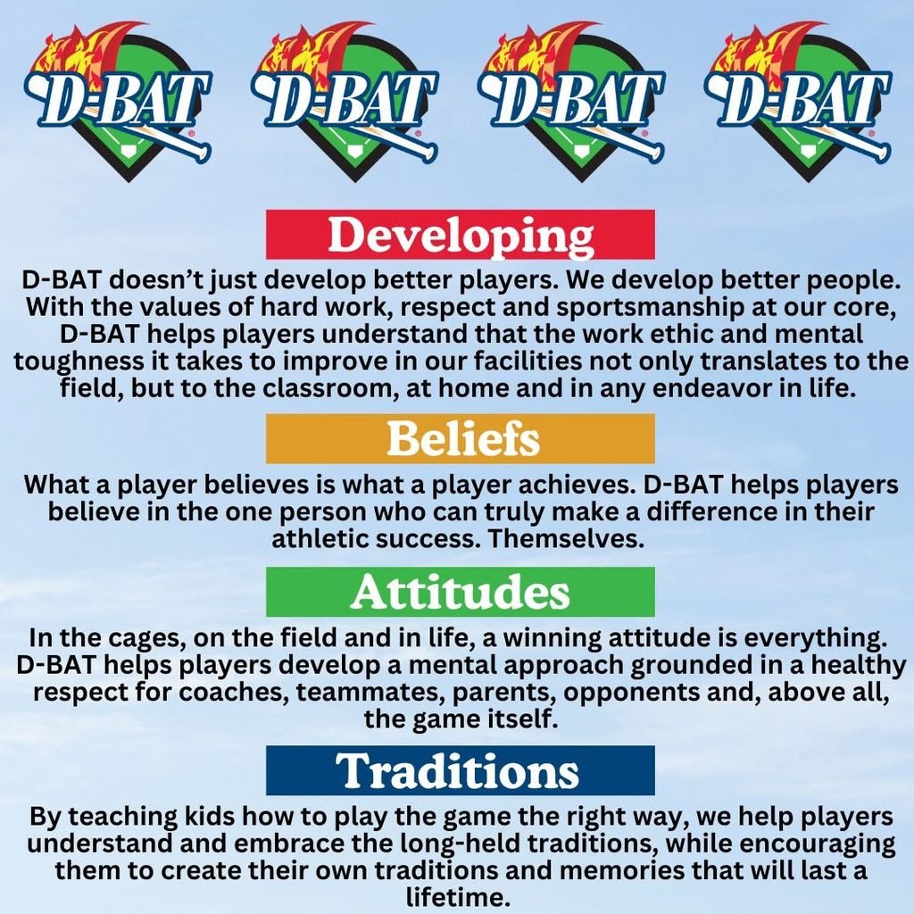 dbatmeaning D-Bat Actual Meaning