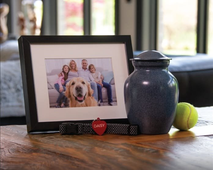 fondmemories Representative memorial scene for the Gateway pet cremation Garland story: urn, photograph and collar